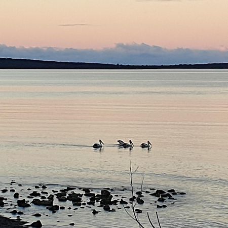 Port Lincoln Caravan Park North Shields Bagian luar foto
