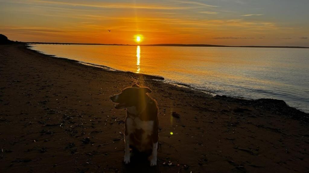 Port Lincoln Caravan Park North Shields Bagian luar foto